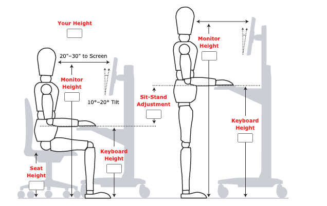 ergonomics calculator