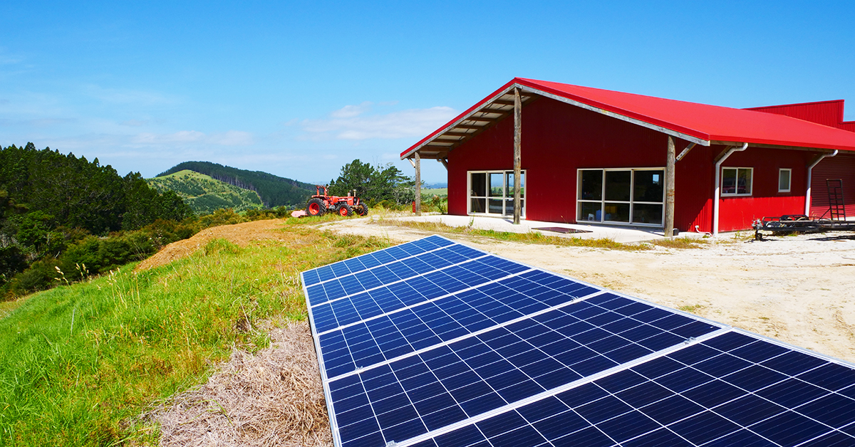 House with ground mount solar panels nz